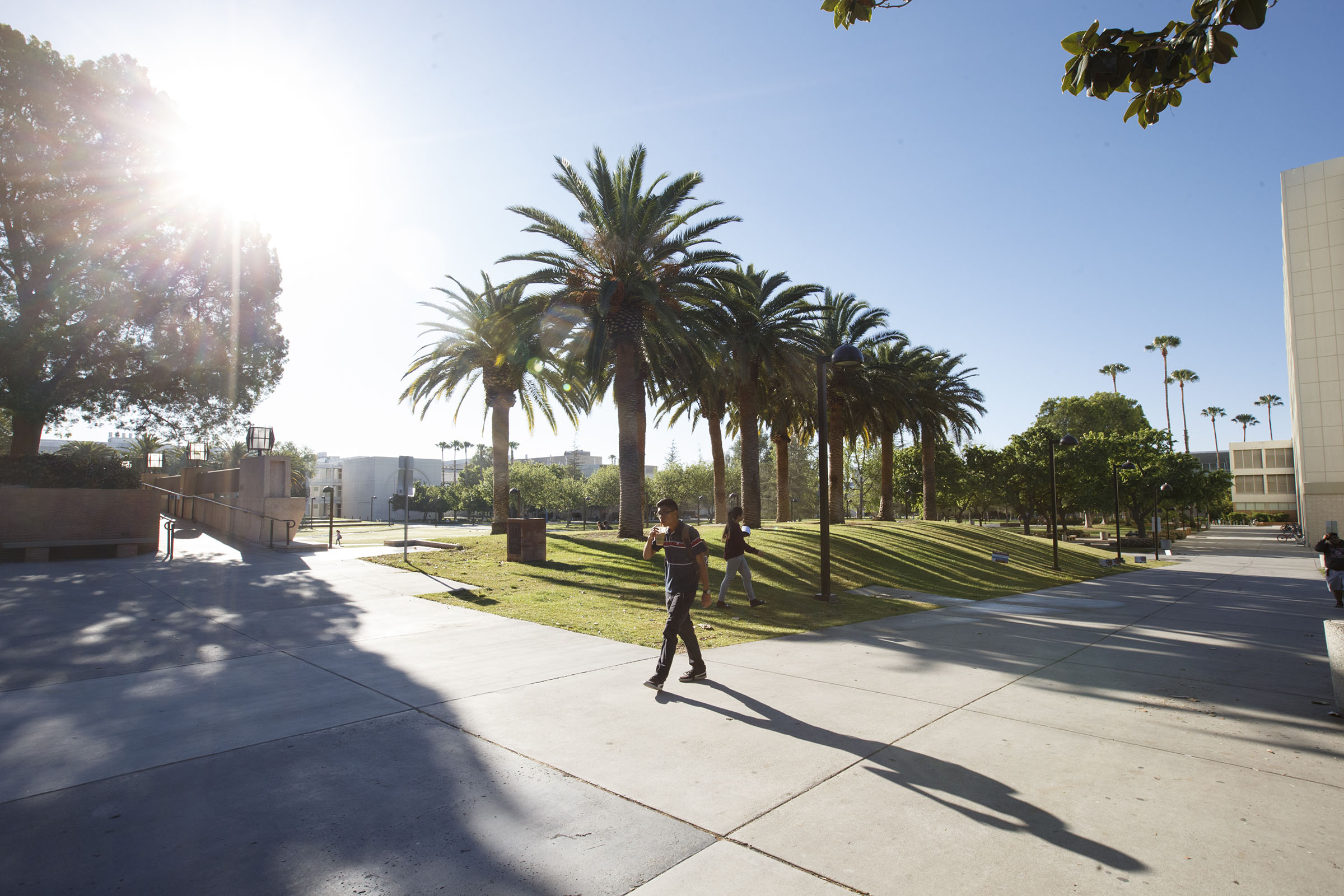 Beyond Academics – The CSUN Student Experience in Los Angeles