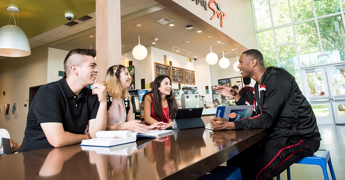 Frequently Asked Questions about studying at CSUN in Los Angeles