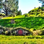 Living and studying in New Zealand: the testimony of a Chilean student