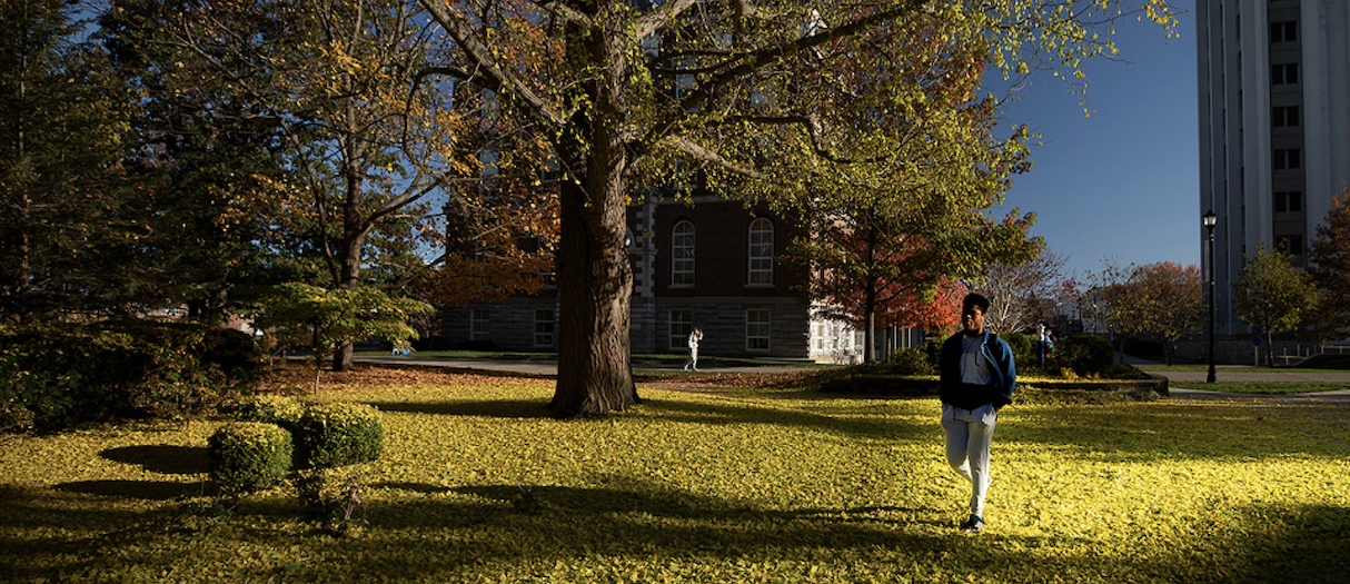 /pt/noticia/post/que-tal-fazer-uma-pos-graduacao-nos-estados-unidos-conheca-universidade-de-kentucky