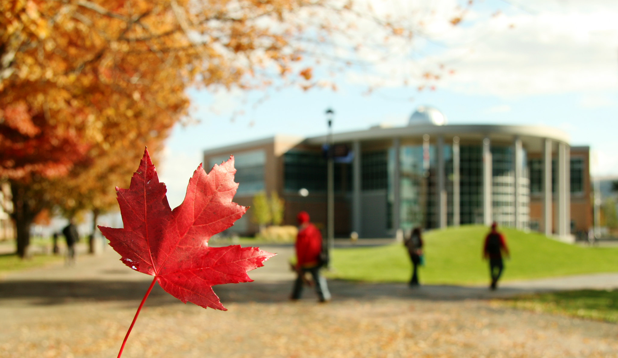 /en/noticia/post/what-studying-canada