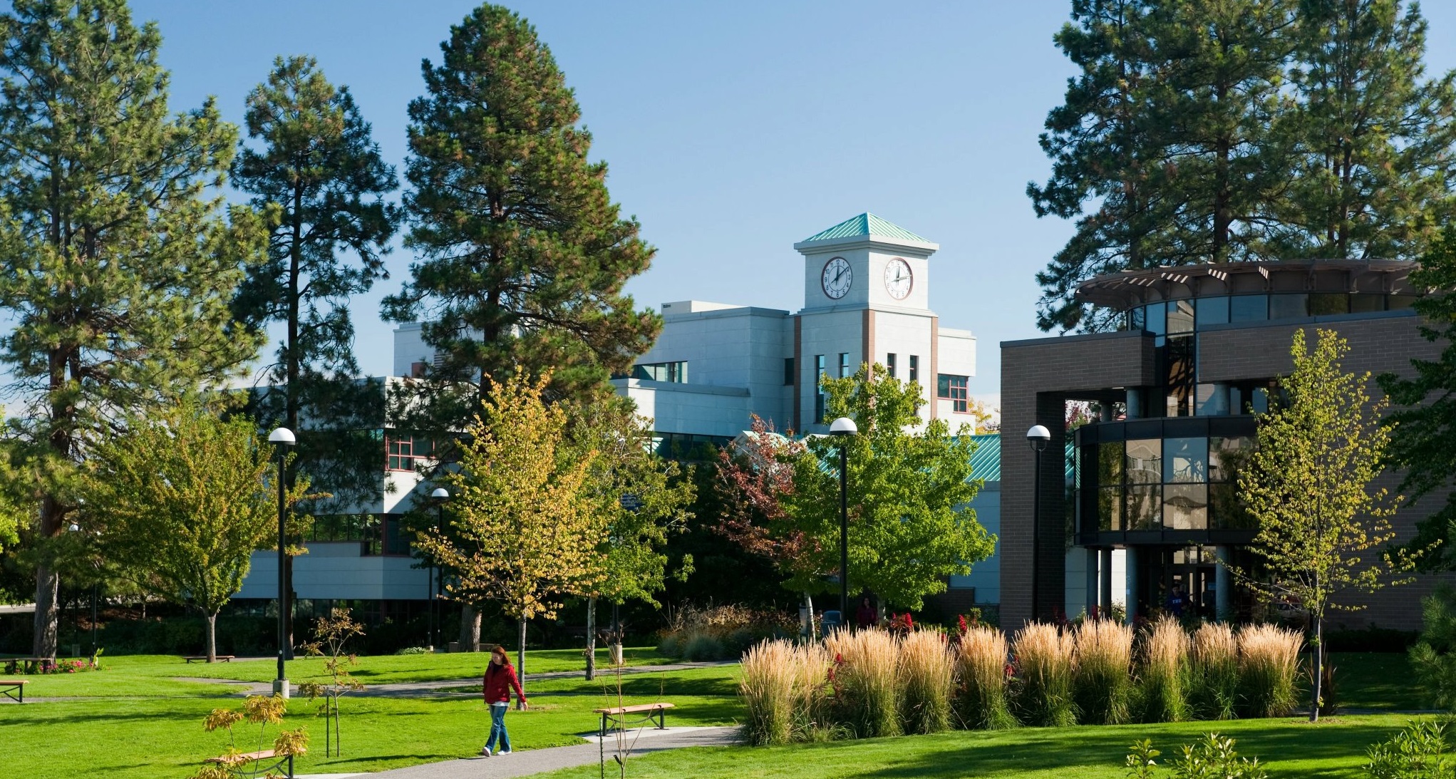 /pt/noticia/post/universidade-thompson-rivers-conheca-universidade-canadense-que-e-referencia-em