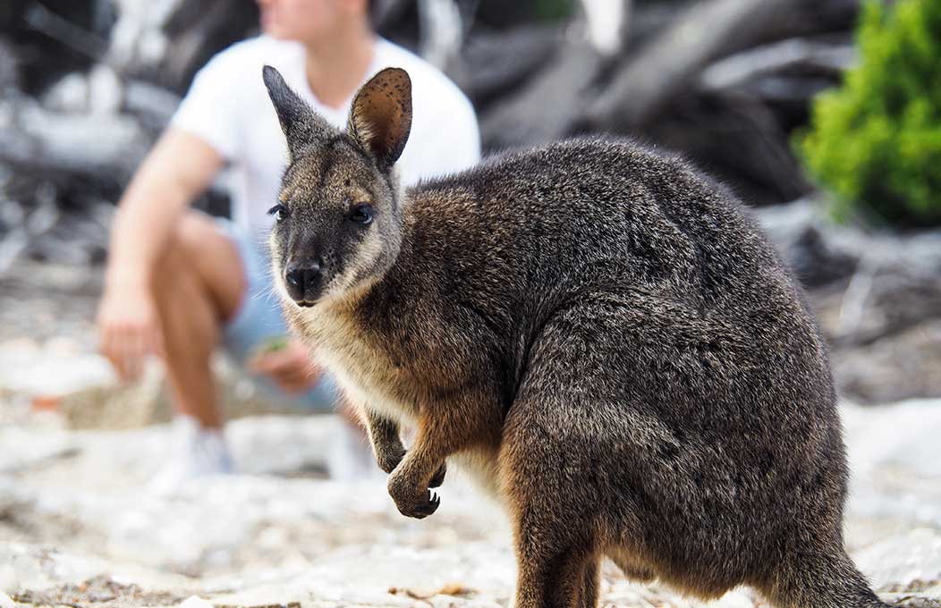 /es/noticia/post/por-que-estudiar-en-el-sur-de-australia