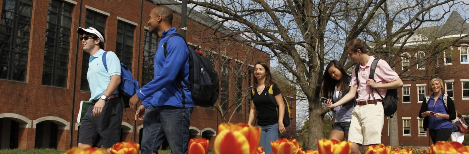 Que tal fazer uma pós-graduação nos Estados Unidos? Conheça a Universidade de Kentucky