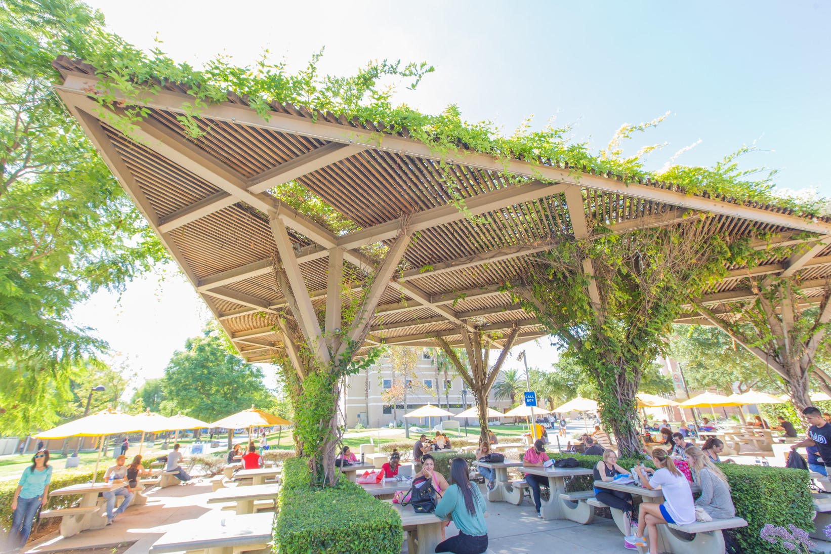 CSUN-outdoor-terraces