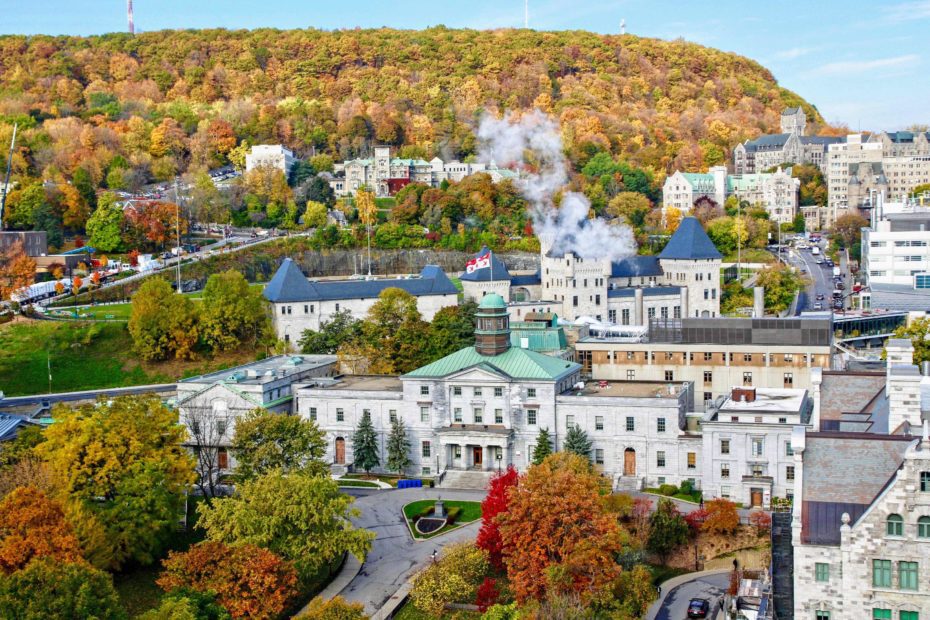 McGill University
