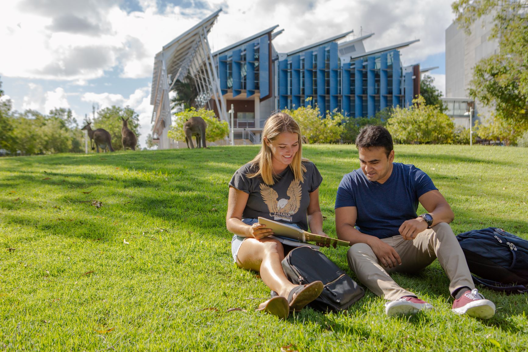 estudar na australia sunshine coast