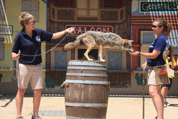 Zoológico da Moorpark College