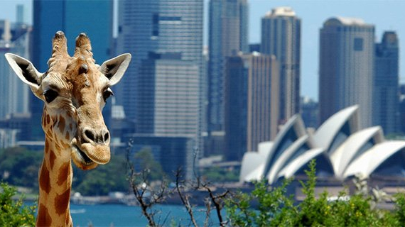 Study English in Sydney, a place with “lots of activities happening”