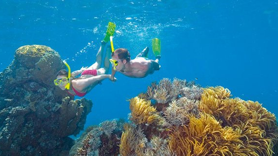 Cairns: ¿Ya conoces el paraíso australiano?