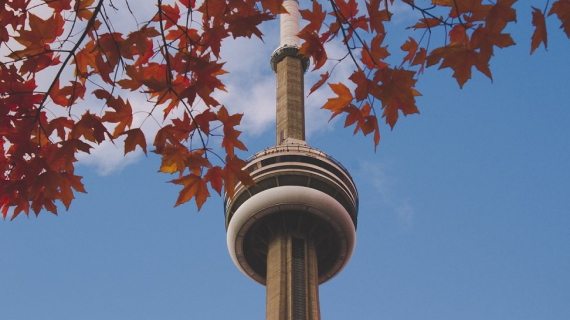 Ayuda con la visa de Canadá