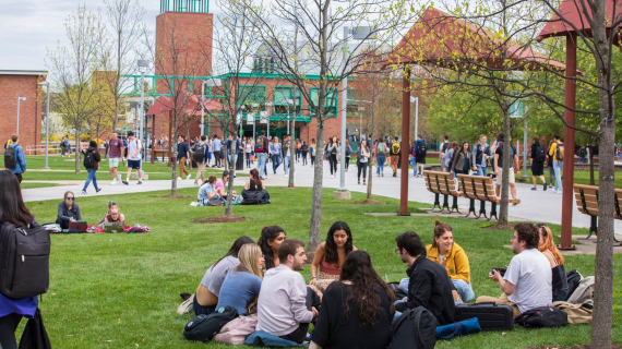 Studying in New York State