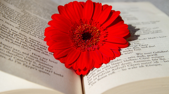 5 cidades incríveis para aprender inglês no exterior