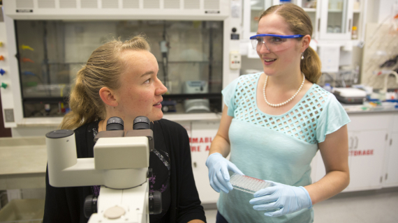 Study Biomedical Sciences in the Netherlands