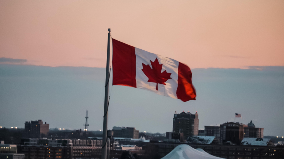 Study in Canada: Maple Contact Can Help