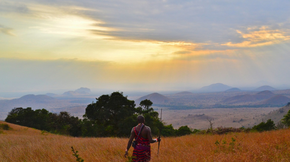 The Best Countries in Africa to Study Abroad
