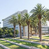 Top 6 Fields of Study for Launching a Career in Hollywood, California