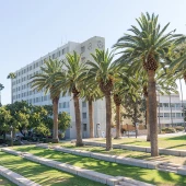 Top 6 Fields of Study for Launching a Career in Hollywood, California